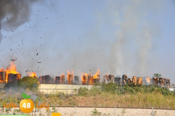 firecartoonsecnd506 (48).JPG